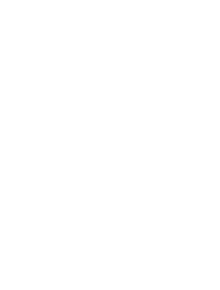 Gediminas Meižys logotipas